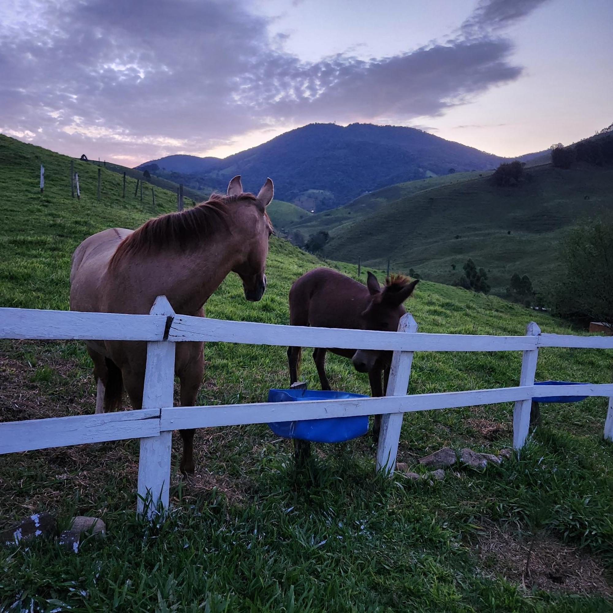 Pousada Vale Monte Azul Санту-Антоніу-ду-Піннял Екстер'єр фото